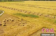 西藏2021城乡居民收入增速居全国首位 城乡收入差距持续缩小