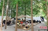 浙江安吉“两山”智库：凝聚专家智慧探索绿色低碳共富路