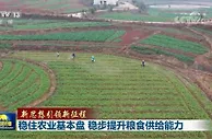 稳住农业基本盘 稳步提升粮食供给能力