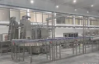 浙江丽水念好“山字经” 托起乡村振兴之梦