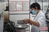广东加快落实留抵退税   盘活制造企业资金流