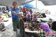辽宁大连：海洋经济潮头正劲 助力海岛发展驶入共富“快车道”