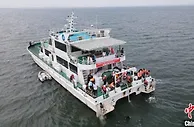 辽宁大连开展增殖放流公益活动 1200万尾鱼蟹苗投放太平湾