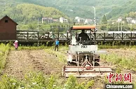 袁隆平生态水稻试验田迎来春耕忙