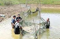 “红土地”兴产业富村民 湘赣边革命老区焕新颜