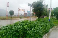 （人民幸福生活）湖南汝城：特色农业振兴瑶乡 富了农家靓了村庄