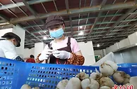 兰州推进“牛肉面”商标申请 品牌发展成增收实惠