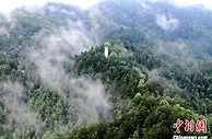 贵州奋力打造生态文明建设先行区：向“绿”而行 生态“风光”无限好