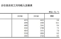 国家统计局：外出农民工月均收入5013元