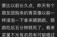 鹦鹉吃团购蔬菜5分钟就死？上海辟谣：不排除个别网友编造