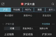 两市分化沪指跌0.31% 中药板块强势
