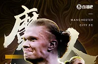 ????31场35球❗哈兰德打破英超单赛季进球纪录❗联赛还剩5轮
