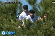 ????上树！巴萨比赛惊现树上看球三人组????穿巴黎&马赛球衣