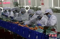 柳州螺蛳粉飘香海外 一季度出口货值同比增347.6%