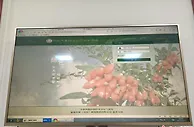宁夏：气象科技擦亮红色枸杞“名片”