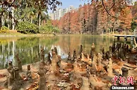 探访集多功能于一身的华南植物园