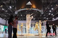 中国市场占有率滑落，耐克、阿迪达斯为何不香了？