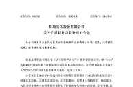 鼎龙文化发布公告：公司副总经理代行财务总监职责