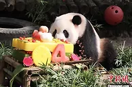 那些嚷嚷减肥的人，后来都怎么样了？