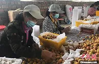 小杏子成富民大产业 新疆兵团绿色有机吊干杏鲜杏俏销
