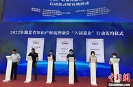 湖北推动知识产权质押融资 助力中小企业发展
