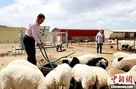 (奋进新征程 建功新时代·大美边疆)内蒙古草原牧民的新“幸福密码”：新思想“扮靓”新生活