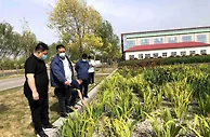 聚焦政策落实和资金管理 山东启动乡村振兴专项审计