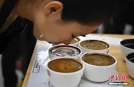 云南咖啡的“春天”要来了吗？