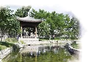 “小织补”激活城市更新