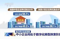 强信心增后劲 助力中小企业数字化转型发展