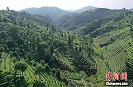 中国唯一绿色经济试验示范区在绿水青山中崛起