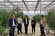 【十年@每一个奋斗的你】“蔬”写乡村振兴  “科技特派员”守好“菜篮子”