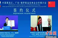 中俄174家林企线上推介 打造森林资源开发利用合作新格局
