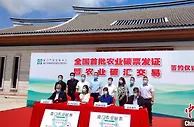 厦门签约首批农业茶园碳汇交易项目