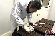 浙江常山胡柚种子“太空旅行”归来 促富民产业发展