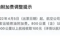 国内航线长途燃油附加费涨到100元 高于部分航线票价