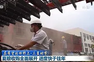 夏粮收购全面展开 进度快于往年