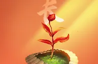 足球资讯：鲁能发布“成长”主题赛前海报，悲情色彩浓厚，球迷的留言很扎心