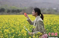 甘肃“花游记”：陌上花开 线上线下享“好春光”