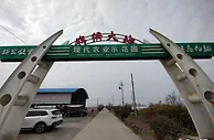 探访大丰农业基地：让上海市民吃到新鲜“苏”菜