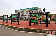 小血橙变大产业 四川资中擦亮“中国血橙之乡”金字招牌