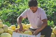湖南衡阳援建项目农村电商物流助力新疆农民好货出疆