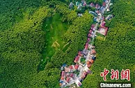 浙江湖州“落子三招”：于乡村振兴中解锁“共富密码”