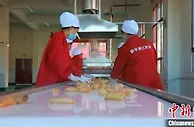 贵州黎平：“天麻经济”带动万余农户增收