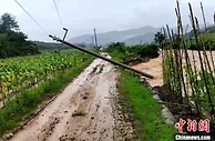 暴雨致福建清流多条电力线路设备受损