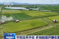 在希望的田野上·三夏时节 | 江西早稻迎来丰收 多地陆续开镰收割