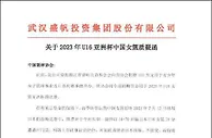 中国女篮“黄金一代”的背后，藏着女篮青训的巨大隐忧