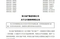 中国恒大股票停牌 恒大地产系列公司债券停牌