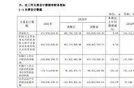 V观财报｜紫晶存储全年亏逾2亿！审计机构“无法表示意见”，股票已被*ST
