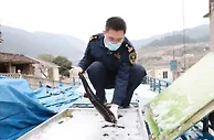 重庆鲜活水产品首次走出国门